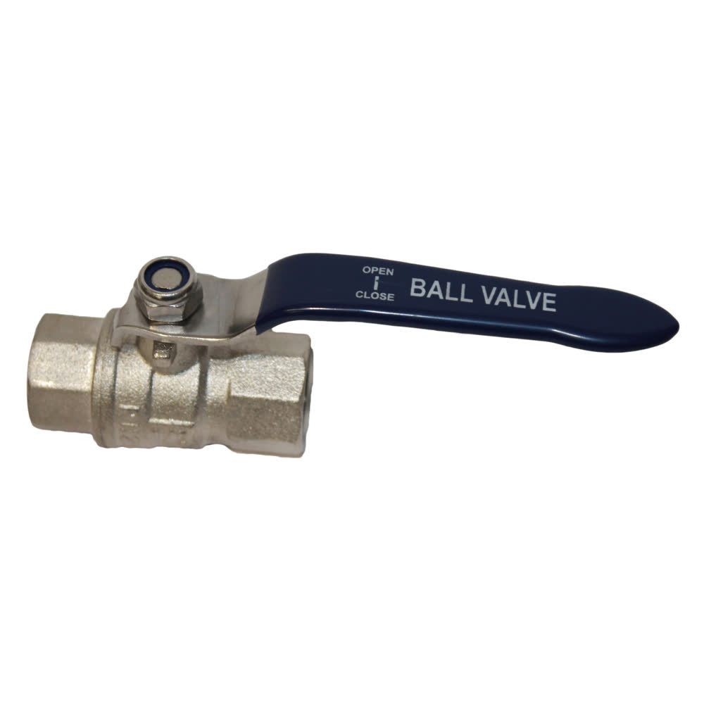 WSP Brass Ball Valve 100mm BSPF