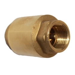 Brass Spring Check Valve 32mm