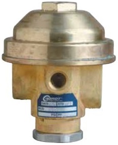 Dorot Bronze Accelerator Pilot