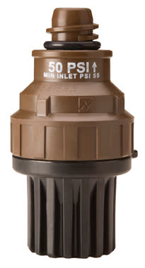Nelson Mini Regulator Drain Check Acme x Acme 30psi (10407-030)