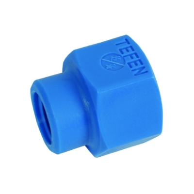 Tefen Threaded Reducing Socket 8 x 6mm
